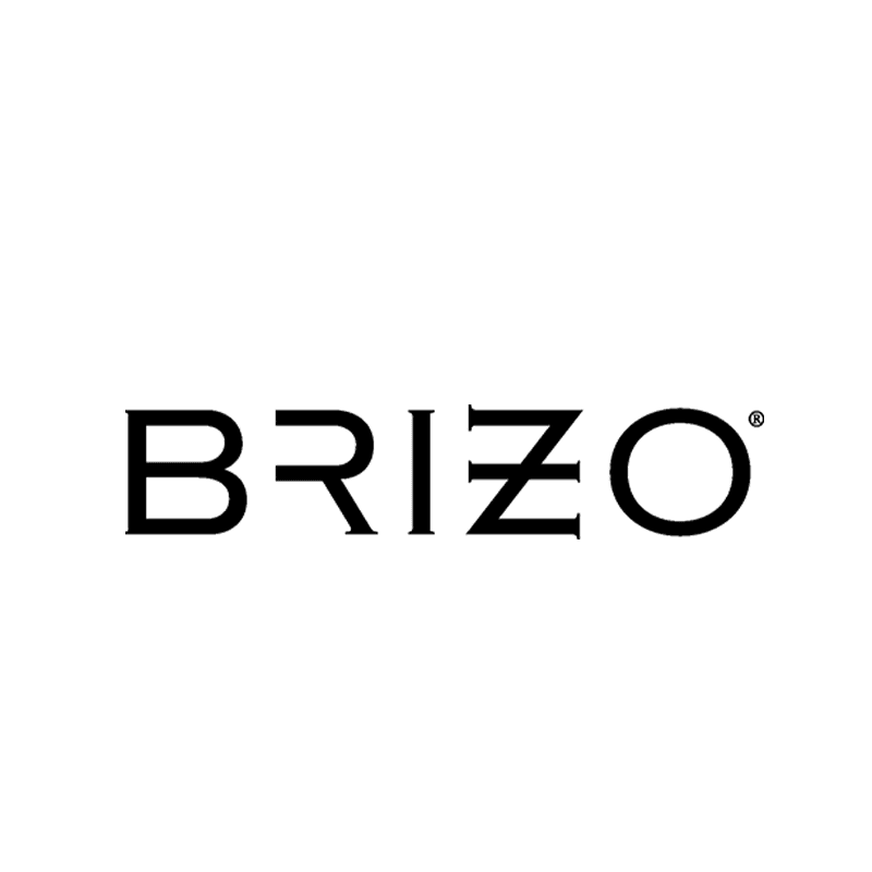 brinzo-1